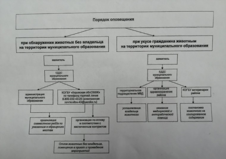 Порядок оповещения при обнаружении животных без владельца и при укусе гражданина животным на территории муниципального образования.