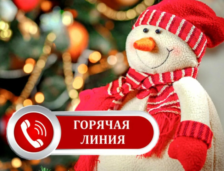 «Горячая линия» по вопросам качества и безопасности детских товаров, а также выбору новогодних подарков.