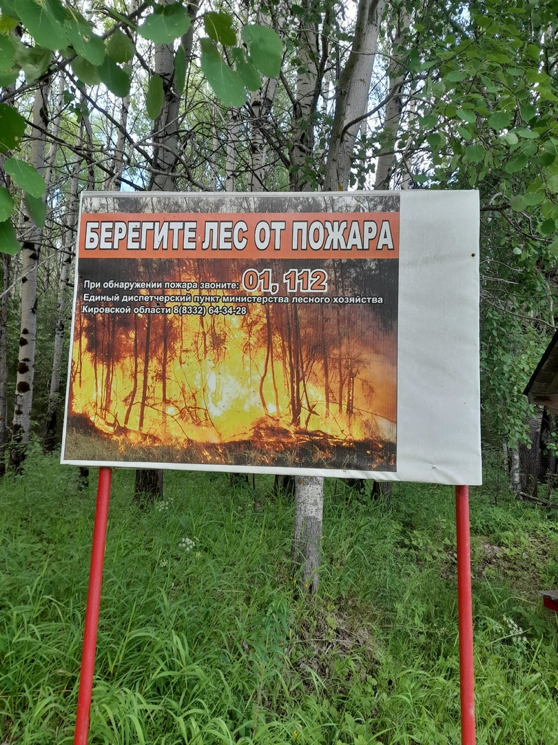 В лесах Кировской области установлен особый противопожарный режим.