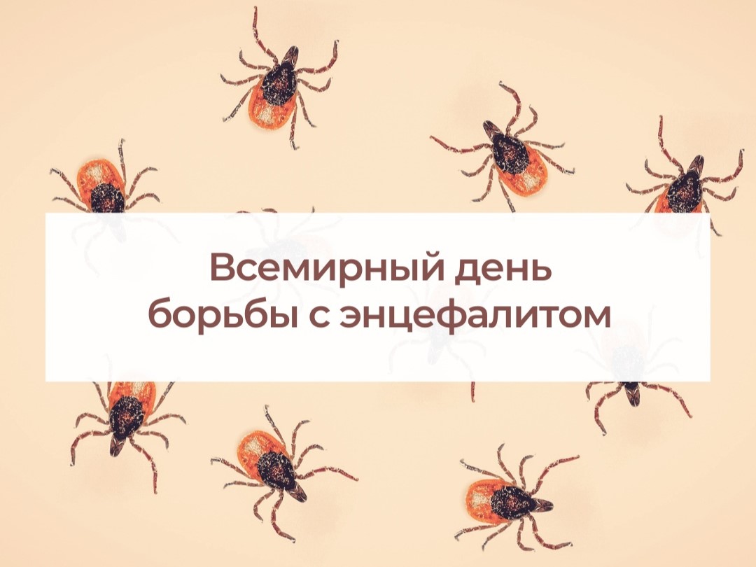 О проведении Всемирного дня борьбы с энцефалитом и мерах профилактики клещевого вирусного энцефалита.