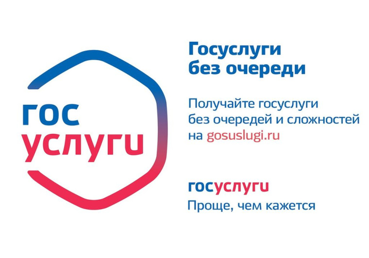 Муниципальные услуги в электронном виде. Муниципальные услуги в электронном виде.
