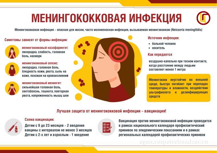 22 июля - Всемирный день мозга. Чем опасна менингококковая инфекция. 22 июля - Всемирный день мозга. Чем опасна менингококковая инфекция.